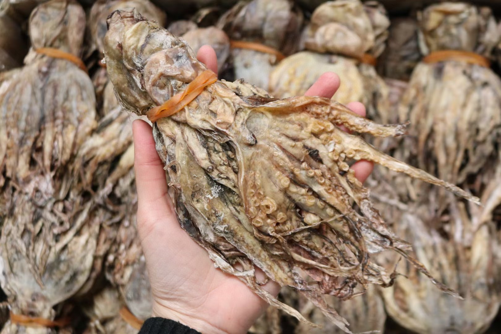 广州 A扎把章鱼干这次货淡干很多可以闻到很香章鱼味不会咸干爽均