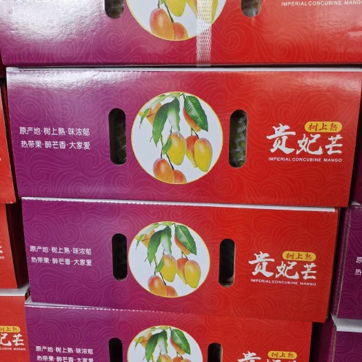 海南三亚崖州树上熟贵妃芒