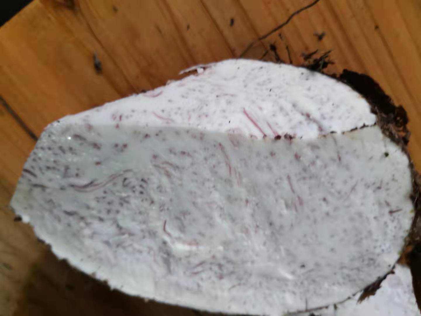 芋头广西荔浦香芋包粉包糯现挖现发产地直发槟榔芋可代发