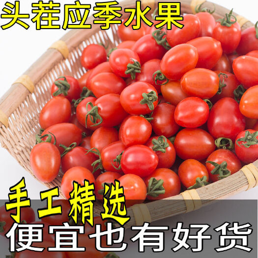 圣女果小番茄水果批发西红柿新鲜番茄