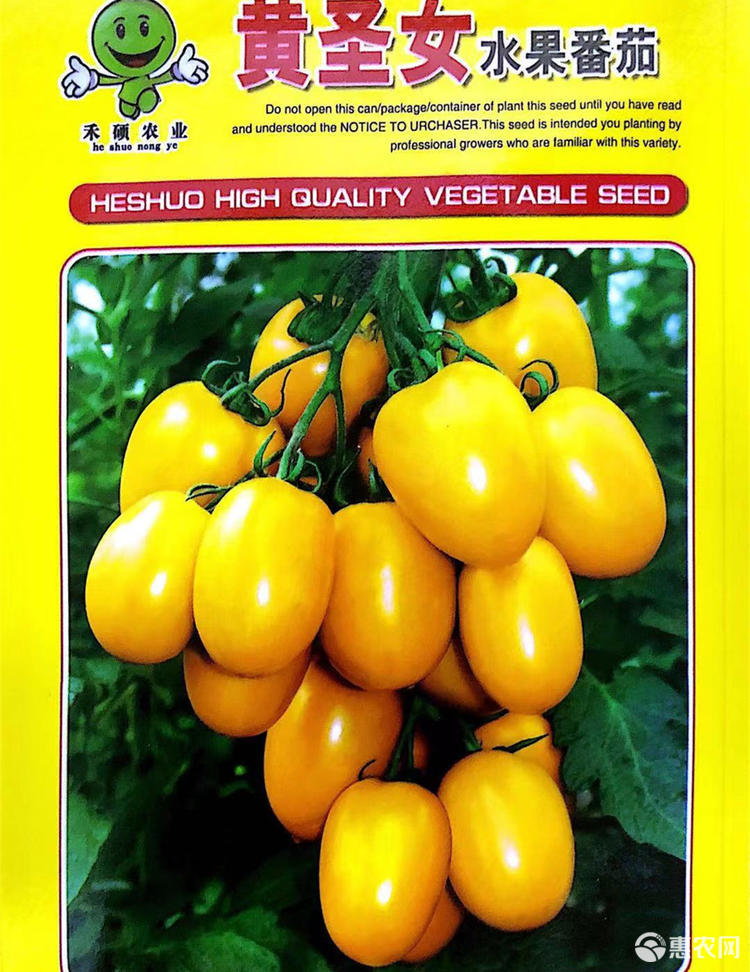 沭阳县 西红柿种子 家庭种植瓜果蔬菜种子 黄色圣女果番茄种子