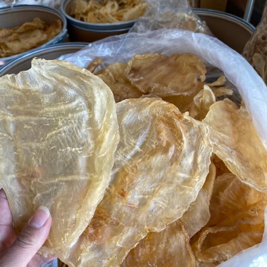 饶平县鱼胶花胶斗湖胶柔肉
