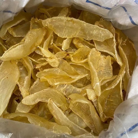 饶平县安南鱼胶花胶鱼鳔