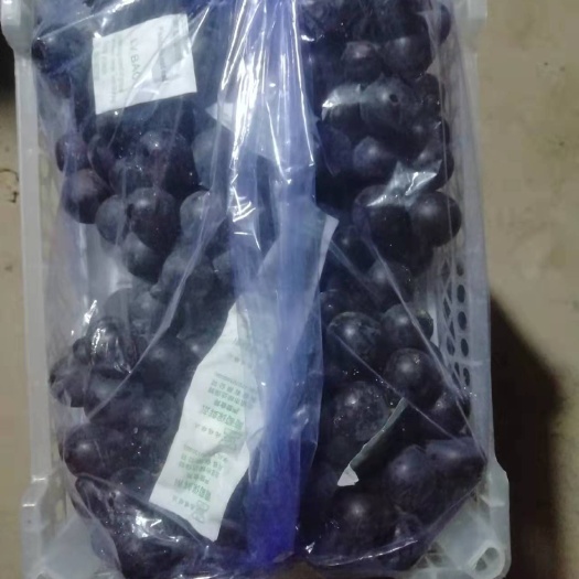 北镇市巨峰葡萄 产地批发优质5斤白盒精品葡萄8.5元一箱质量好价格合理。