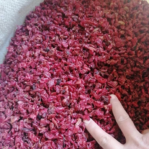 丹凤县山茱萸，大量现货