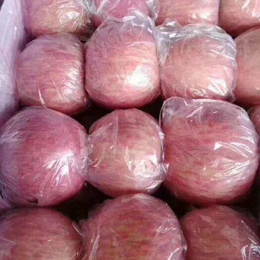 大荔县陕西纸夹膜袋红富士苹果大量供应货源充足预售从速欢迎采购
