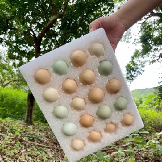 土鸡蛋  精品七彩 质量好 价格优一件代发破损包赔