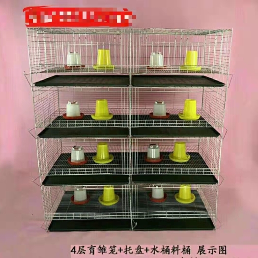 厂家直销 小鸡笼育雏笼鸡笼鸡苗笼立式雏鸡笼3层8位养殖笼具