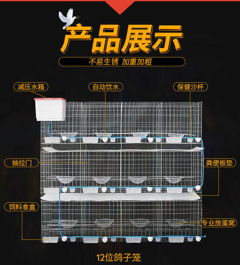 厂家供应鸽笼三层12位鸽子养殖笼肉鸽配对笼 支持定制16位