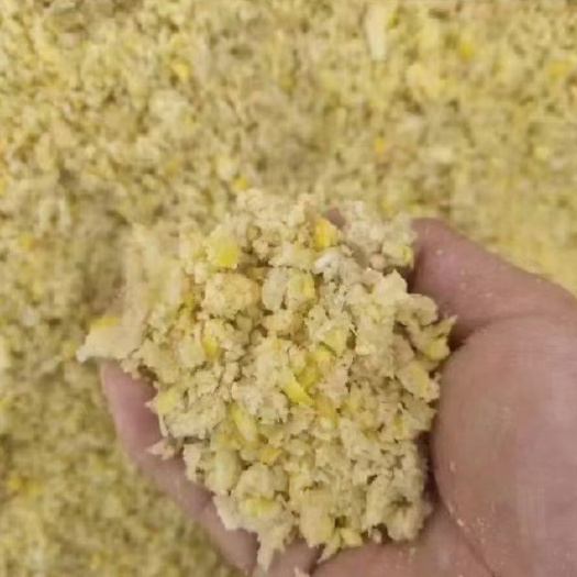 莒南县糯玉米 发酵玉米饲料，纯纯的黏玉米高温蒸熟直接粉碎发酵