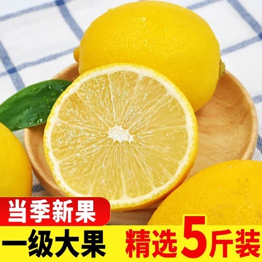 乐至县尤力克柠檬 四川安岳黄柠檬当季新鲜水果皮薄汁多柠檬鲜果整箱5