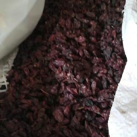 安国市山茱萸 新鲜山萸肉