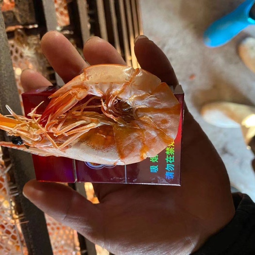 秦皇岛红虾干 渤海湾海水烘干东方虾，老人孩子孕妇皆可吃。