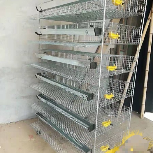 安平县加粗加密立式鹌鹑笼自动滚蛋笼下蛋笼家用养殖笼芦丁鸡笼笼具批