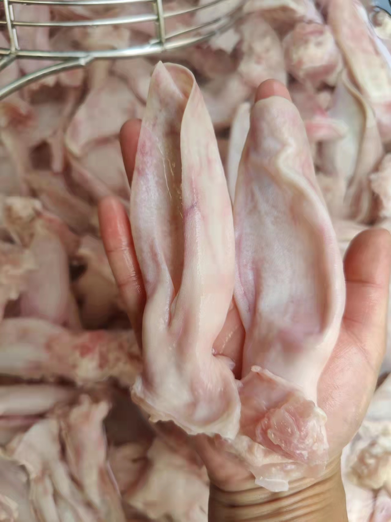 兔肉类 脱毛兔耳朵烫毛兔耳朵去毛耳朵