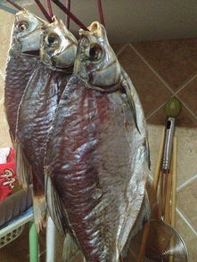 鄂州鳊鱼干  武昌鱼鱼干