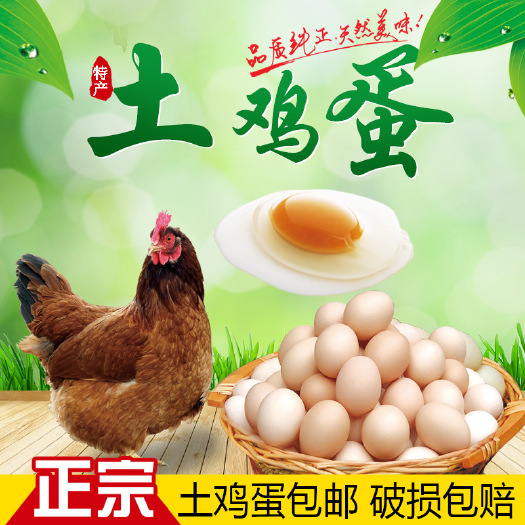 尉氏县土鸡蛋 黑凤粉蛋土鸡蛋初生蛋，绿壳粉壳蛋，鸡场直销质量保证