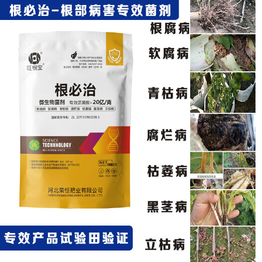 石家庄 根必治微生物菌剂专利产品专效大姜 蔬菜 果树 瓜果根部病害