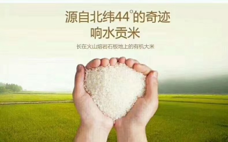 宁安市历代贡米一一响水石板大米