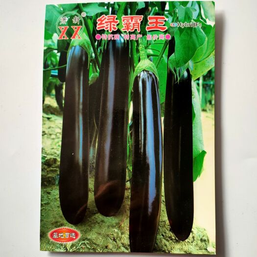 沭阳县茄子种子 蔬菜种子紫茄子种籽紫红长茄子春夏种植农家高产抗病性