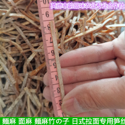 英德市麻笋干丝 麻竹笋 味付笋干丝 日式拉面笋丝 麻笋 极太笋