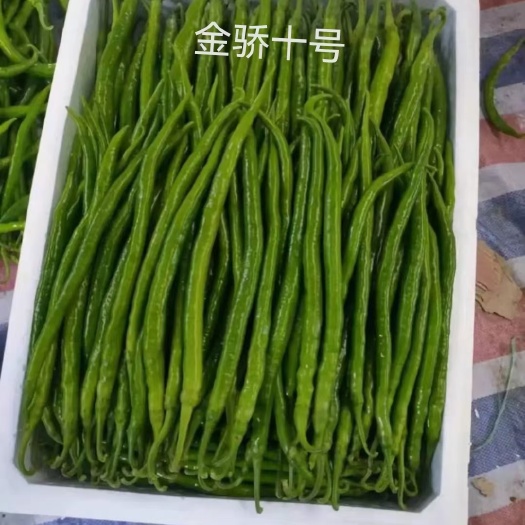 杭椒：鮮辣味美、青脆可口。