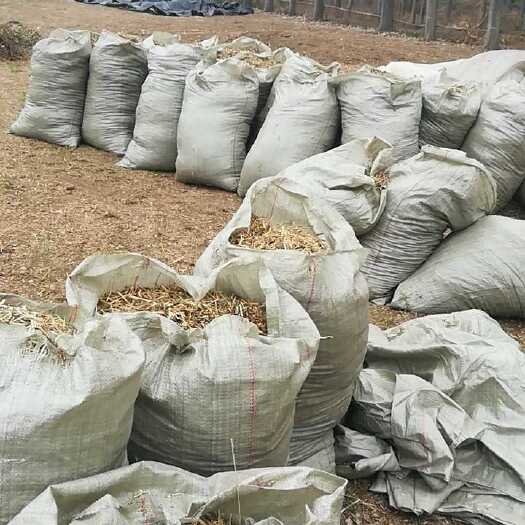西平县秸秆饲料 花生秧草料