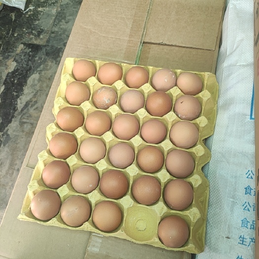 拉萨 普通鸡蛋，一板30个