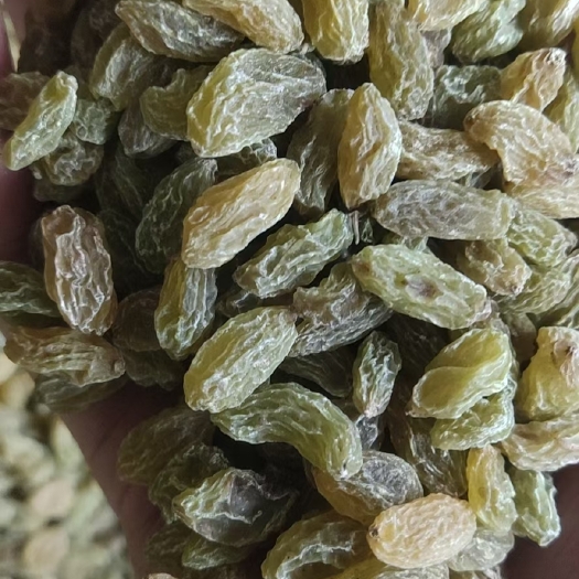吐鲁番无核葡萄干 新疆维吾尔自治区吐鲁番市市高昌区 3-6个月