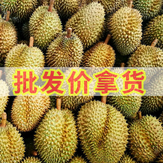 青岛金枕榴莲 金枕，青尼，长柄优质榴莲猫山王（速冻榴莲肉）