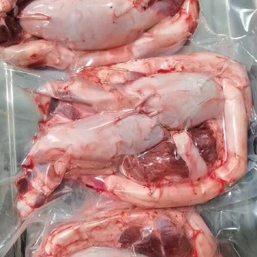 阳信县牛睾丸 牛鞭宝
