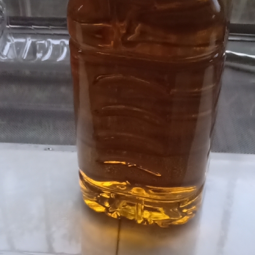 东兰县山茶油 六十年代老品种茶籽油，假一赔百，欢迎咨询在线下单