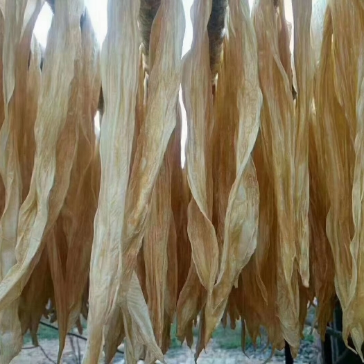 三江县黄大豆   黄豆竹粉