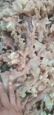 阳信县牛蹄筋 熟牛副筋