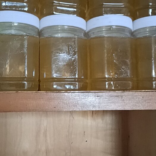 沂南县百花蜜 优质封盖纯蜂蜜