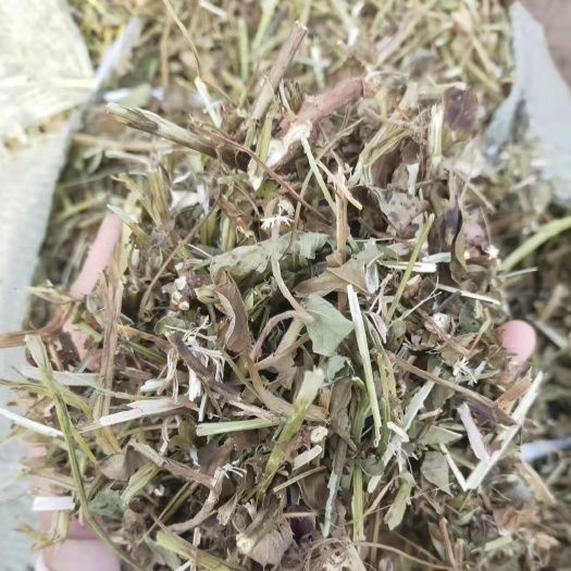 富平县牛羊草花生秧质量好干净