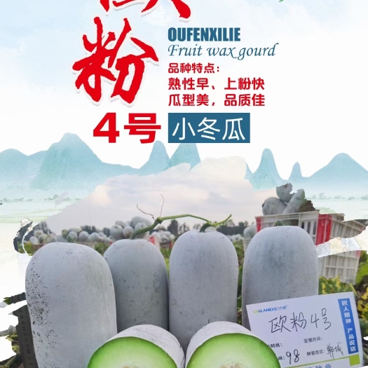 欧蓝德冬瓜种子