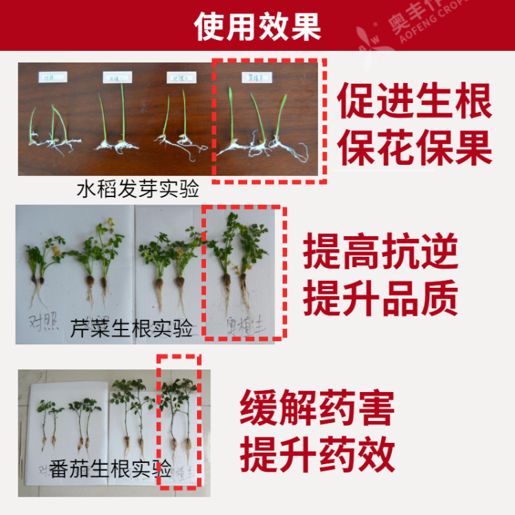 奥直丰14羟基芸苔素甾醇0.004高含量天然芸苔素内酯生长