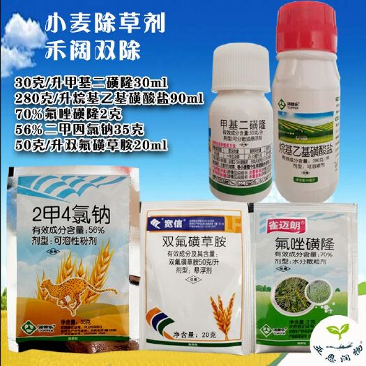 郑州小麦田除草甲基二磺隆氟唑磺隆二甲四氯钠双氟磺草胺节节麦播娘蒿