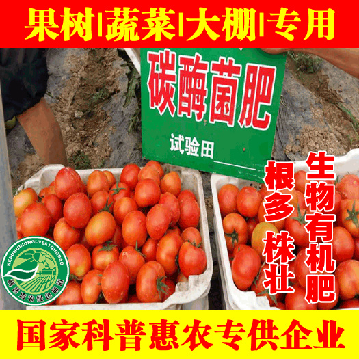 石家庄碳霉菌肥微生物菌肥