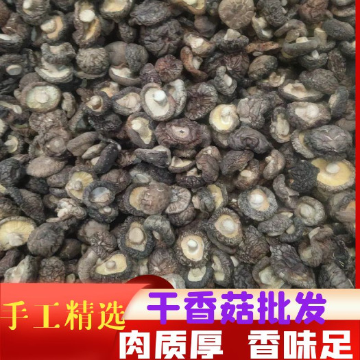 泌阳县香菇丁  光面菇 （有好货）香菇精选优质肉厚冬菇干香菇产地直