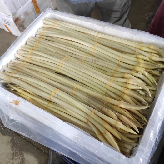 仙桃市精品藕带