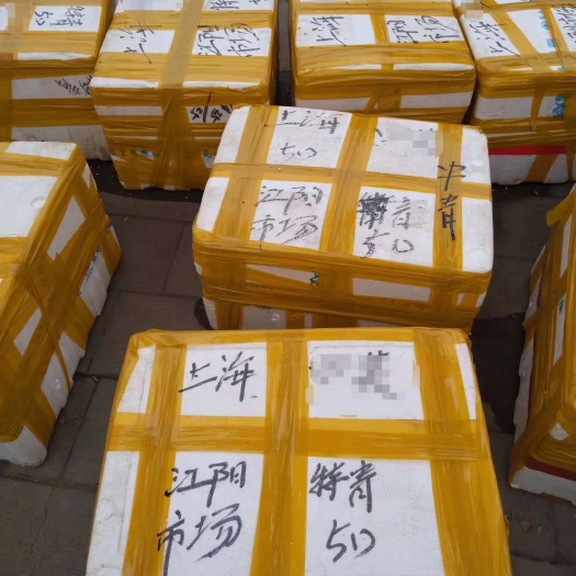 沙洋县鲜活   尖货小龙虾