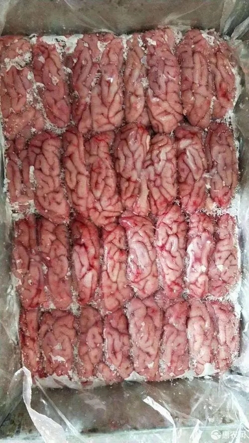 商丘猪脑花