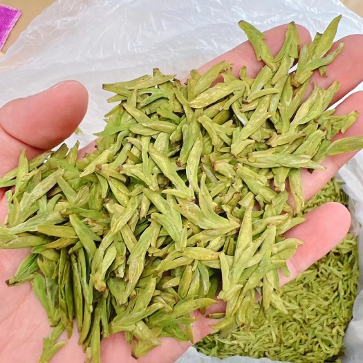 松阳县龙井茶 开春头採乌牛早，龙井工艺
