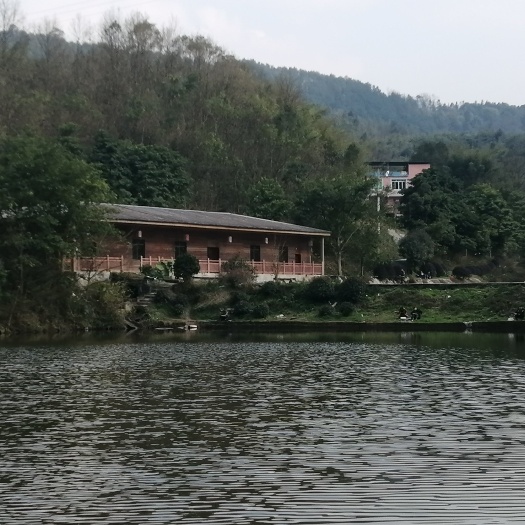 重庆市生态园林 巴南区200文旅项目，有50亩鱼塘和管理用房，