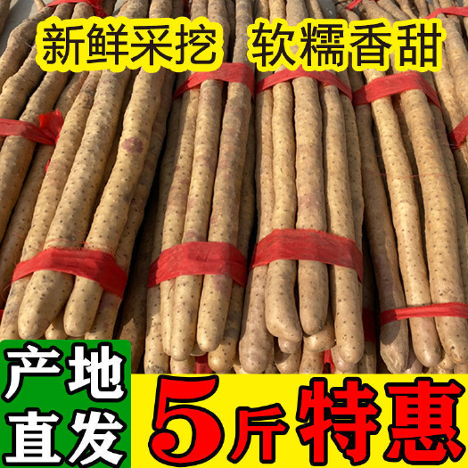 廣州鐵棍山藥小白嘴麻山藥淮懷山藥鐵棒山藥粉糯甜現(xiàn)挖
