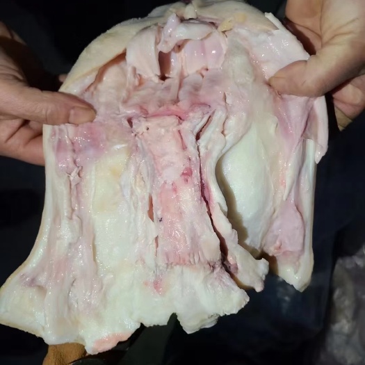 郑州半去骨牛蹄，质量好价格合理，一手货源，全国冷链发货