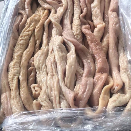 福鼎市猪肠 1级猪小肠