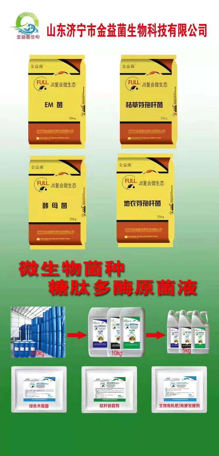 枯草芽孢杆菌粉菌剂菌肥菌种  喷施滴灌冲施 蔬菜瓜果种植专用